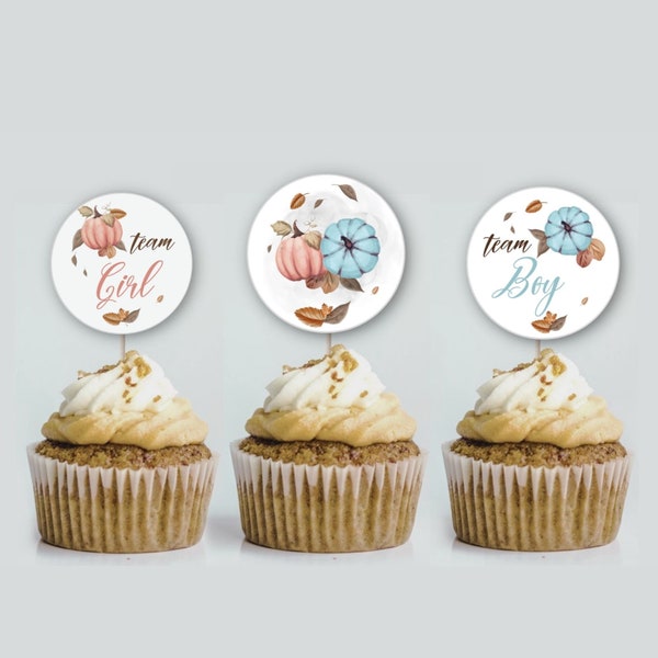 PUMPKIN | Gender Reveal cupcake toppers, Printable cupcake Toppers fall gender reveal, Editable cupcake toppers, he or she pumpkin toppers