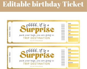 Editable and printable shhh it is a surprise Ticket Editable, Surprise Gift Ticket Template Printable, Birthday Gift Ticket, Surprise coupon