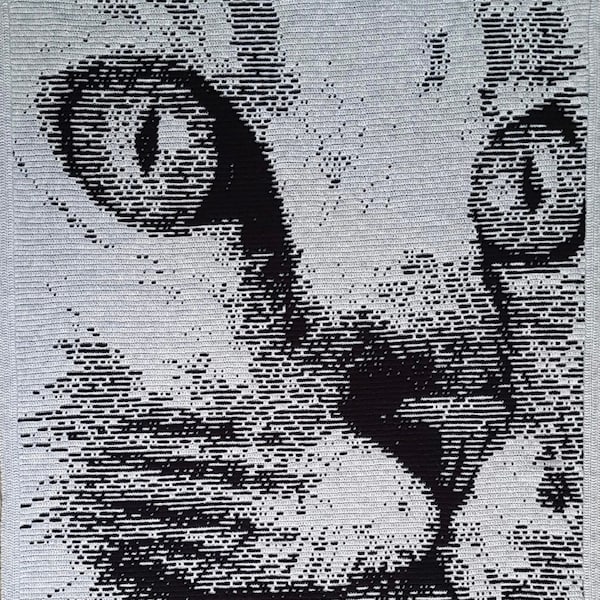 Magnifi-Cat Overlay Mosaic Crochet Pattern