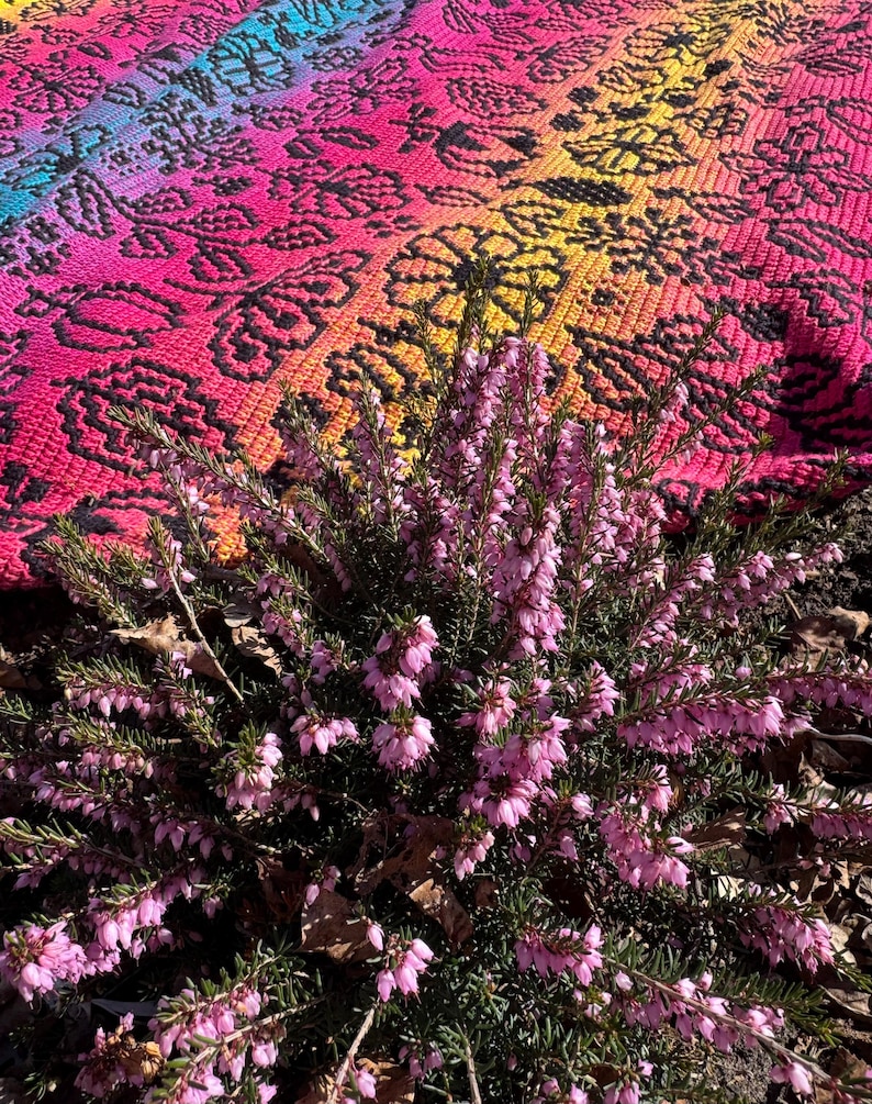 May include: A close-up of a pink and yellow patterned crochet rug with a bush of pink heather flowers in the foreground.