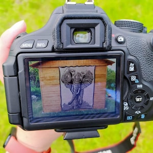 Puede incluir: Una c&aacute;mara r&eacute;flex digital Canon negra que muestra una imagen de un elefante en su pantalla. La imagen del elefante est&aacute; frente a una estructura de madera. La c&aacute;mara se sostiene contra un fondo de hierba verde.