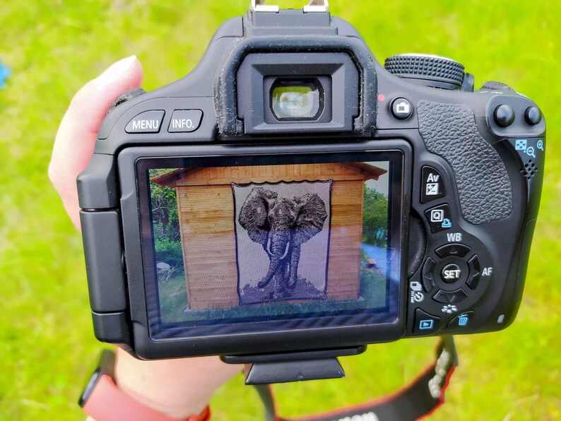 Puede incluir: Una c&aacute;mara r&eacute;flex digital Canon negra que muestra una imagen de un elefante en su pantalla. La imagen del elefante est&aacute; frente a una estructura de madera. La c&aacute;mara se sostiene contra un fondo de hierba verde.