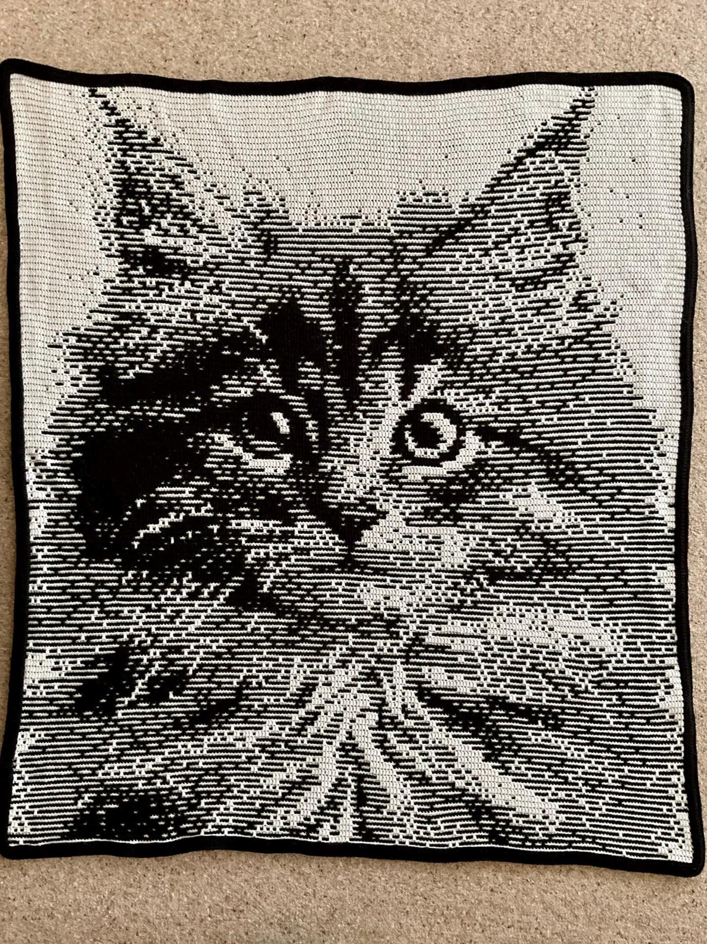 Fluffball - Overlay Mosaic Crochet Pattern - Kitten - Etsy