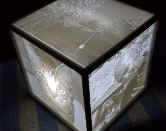 lithophane light boxes