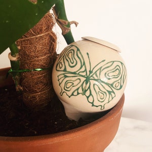 Ceramic Oya / Terracotta Olla / Water Tank for Plants