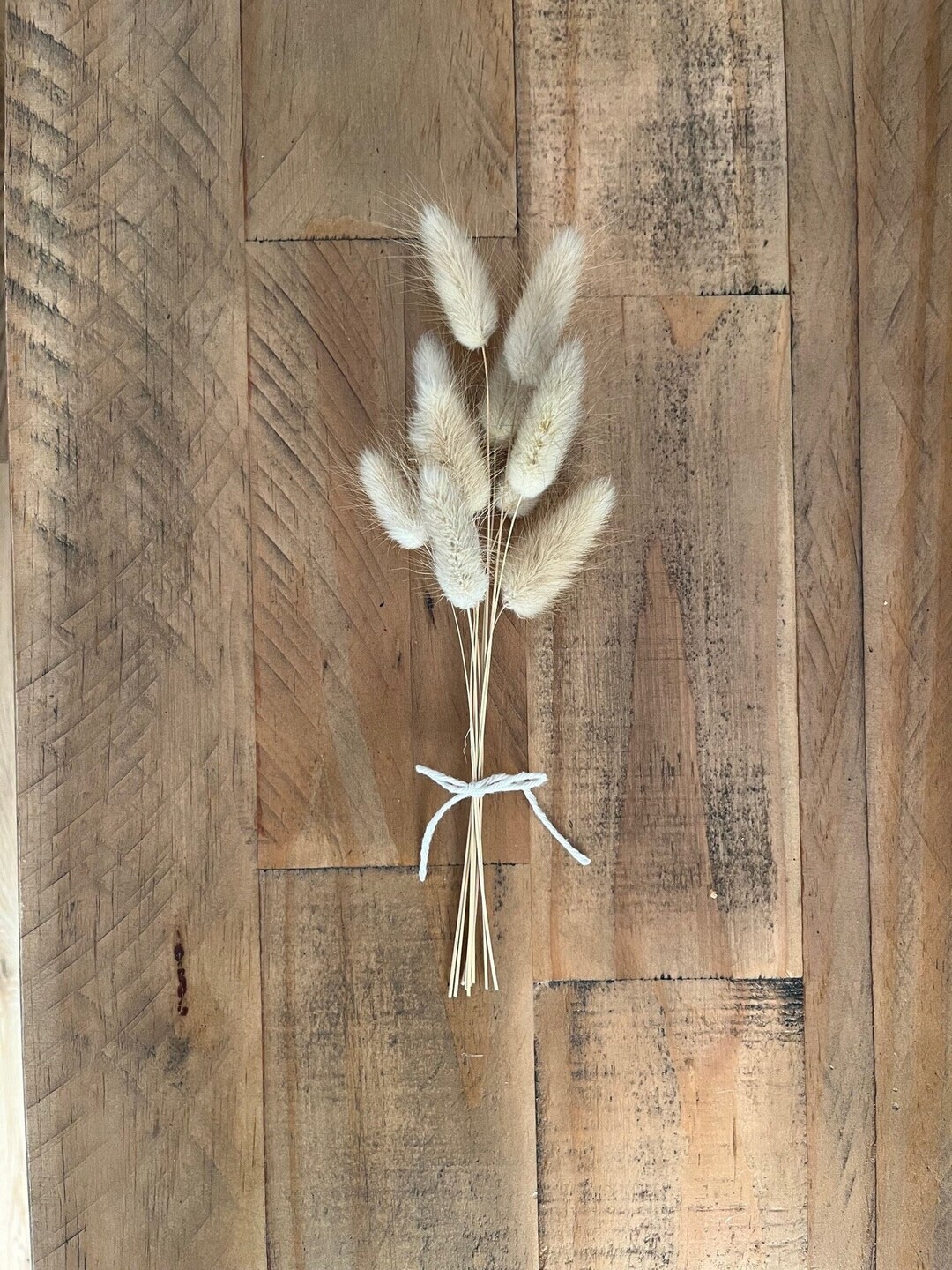 Mini Dried Flower Bunny Tails Bouquet Craft Supplies / Cake Decoration