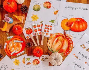 May include: A set of printable educational materials for learning about pumpkins. The set includes a life cycle chart, an anatomy diagram, a pumpkin facts sheet, a pumpkin patch scavenger hunt, and a pumpkin coloring page. The materials are printed on white paper and feature colorful illustrations.