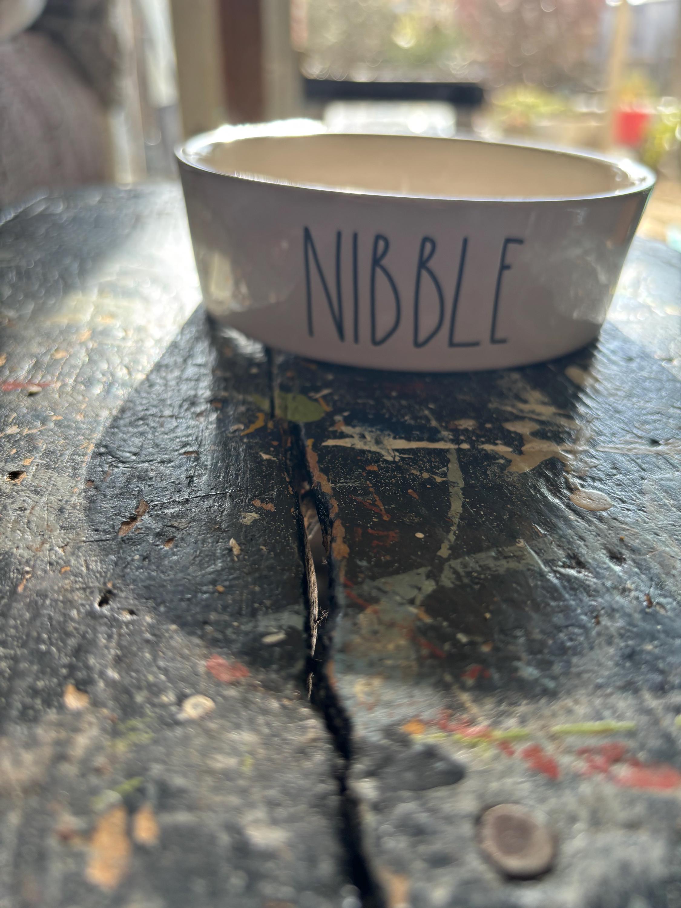 Rae dunn rescued dog bowl hotsell