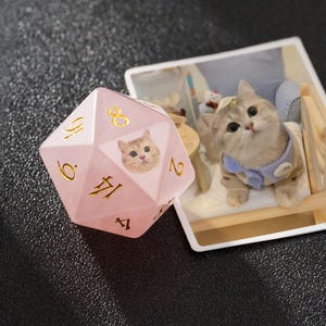May include: A pink, multi-sided die with gold numerals and a cat face sticker. A framed photo of a cat wearing a blue vest is next to the die. The die is on a dark, textured surface.