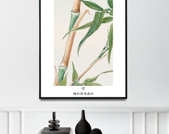 Japanese Vintage Wall Art • Japanese Bamboo by Megata Morikaga • Vintage Japanese Art Print / Poster
