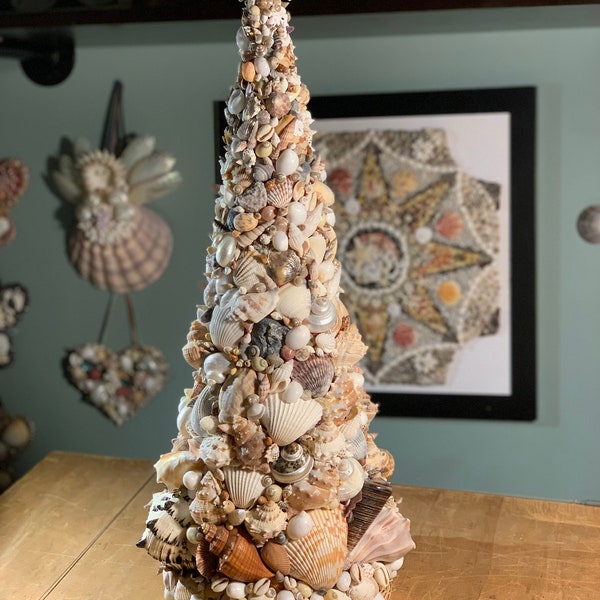 Shell Christmas Tree. Huge variety of shells topped with starfish