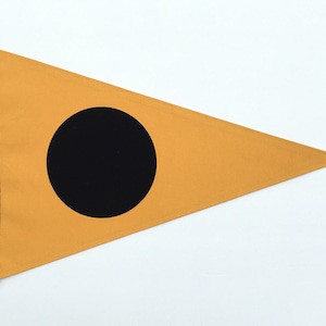 Black Ball Surf Flag