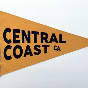 Central Coast - Beach Flag