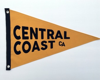 Central Coast - Beach Flag