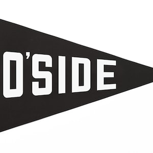 Oceanside - Beach Flag