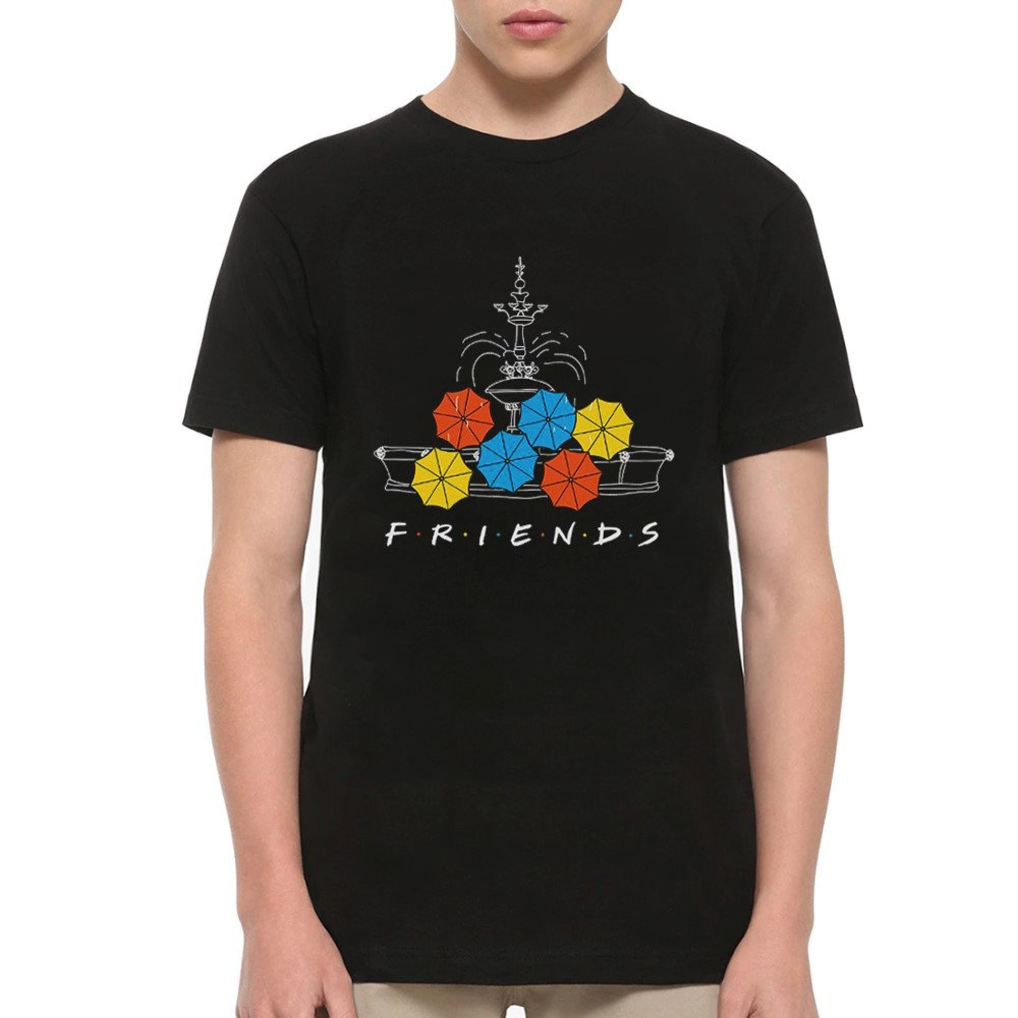 Discover Friends TV Series Fountain T-Shirt, Men's and Women's All Sizes