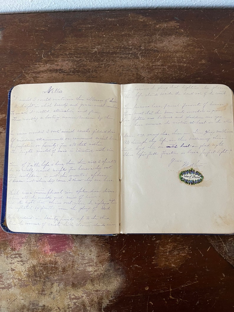 Ohio Mid-1800s Birthday Album Handwritten Notes From Friends and Family ...