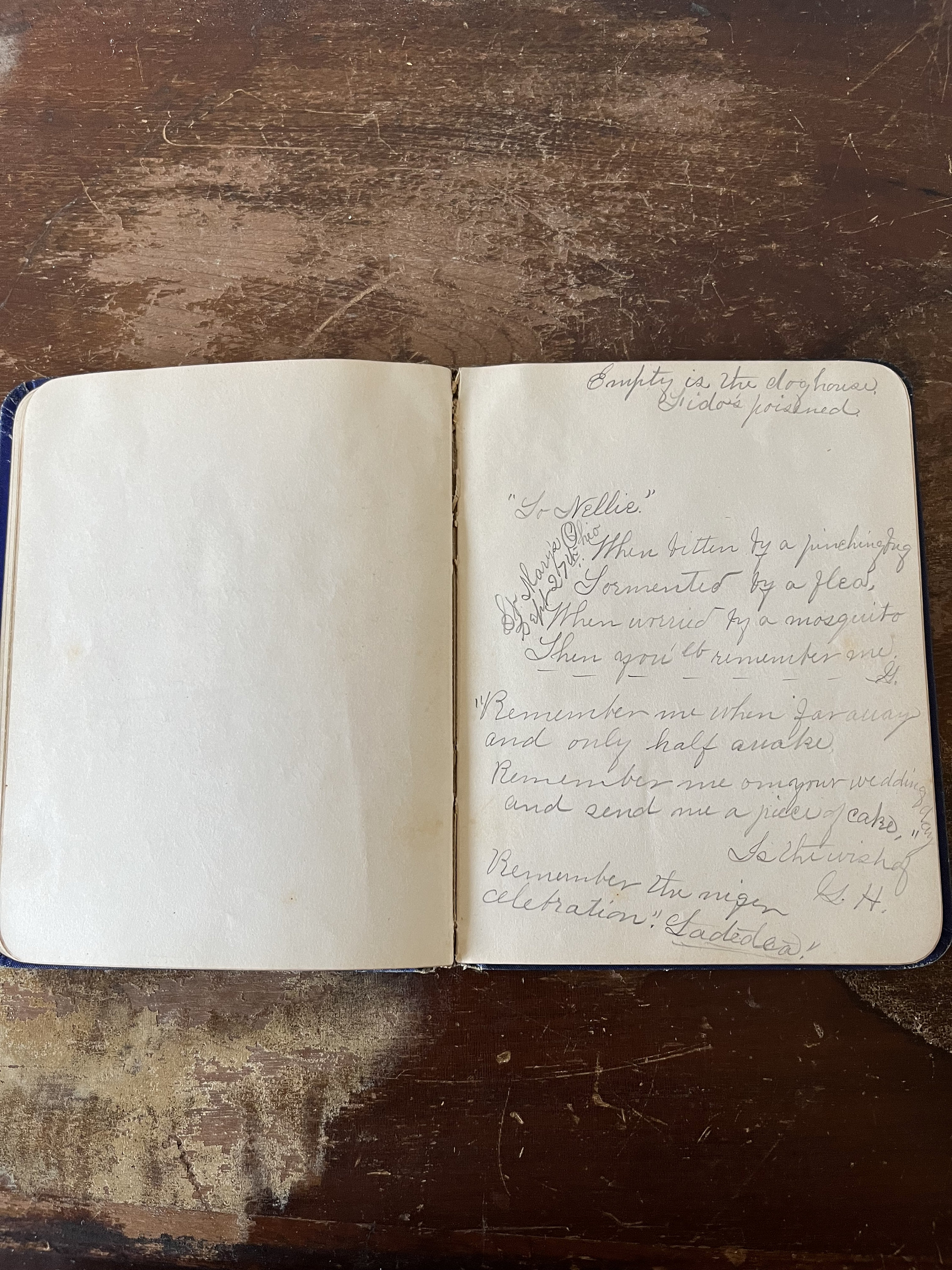 Ohio Mid-1800s Birthday Album Handwritten Notes From Friends and Family ...