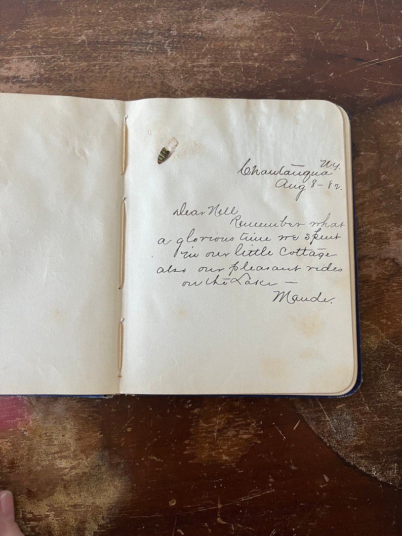 Ohio Mid-1800s Birthday Album Handwritten Notes From Friends and Family ...