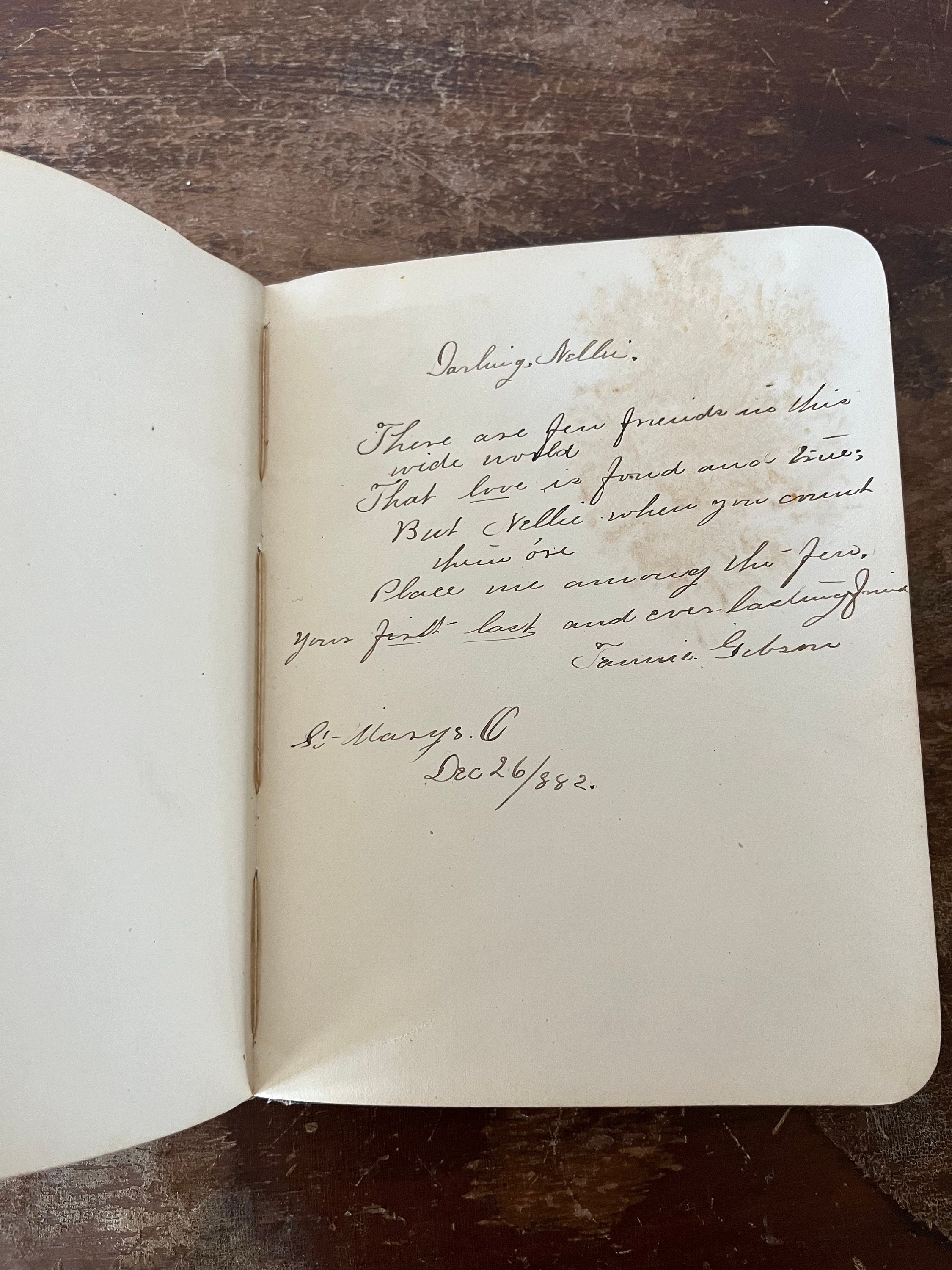 Ohio Mid-1800s Birthday Album Handwritten Notes From Friends and Family ...