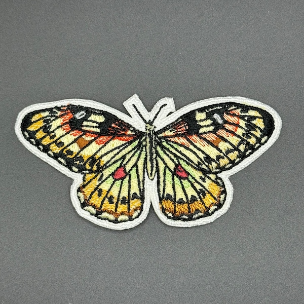 Grateful Dead Spring 1990 Butterfly Iron On Patch