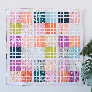 Op de afbeelding: Een kleurrijke quilt met een rasterpatroon, met vierkanten in verschillende kleuren, waaronder roze, oranje, groen en paars. De quilt hangt aan een witte muur, met een grote groene plant in de hoek. De afmetingen van de quilt zijn niet zichtbaar.
