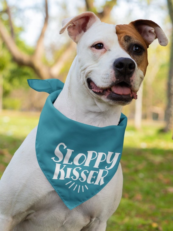 Funky dog bandanas hotsell