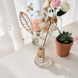 Diffusore a bastoncini Australian Flora & Honey: Fragranza botanica rilassante per la casa (50 ml)