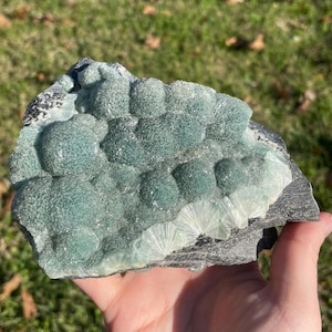 May include: A mineral specimen featuring clusters of rounded, sage green botryoidal formations on a dark grey, layered rock base. The surface displays a textured, crystalline appearance with lighter, fan-shaped radiating patterns along the edge.