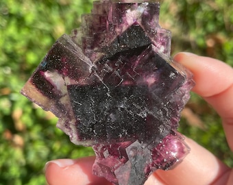 Purple Zoned Fluorite from Okorusu Mine, Namibia