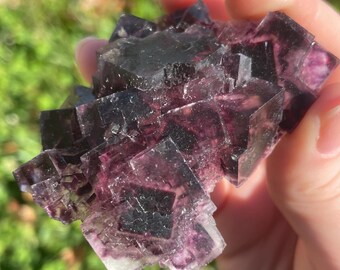 Purple Zoned Fluorite from Okorusu Mine, Namibia