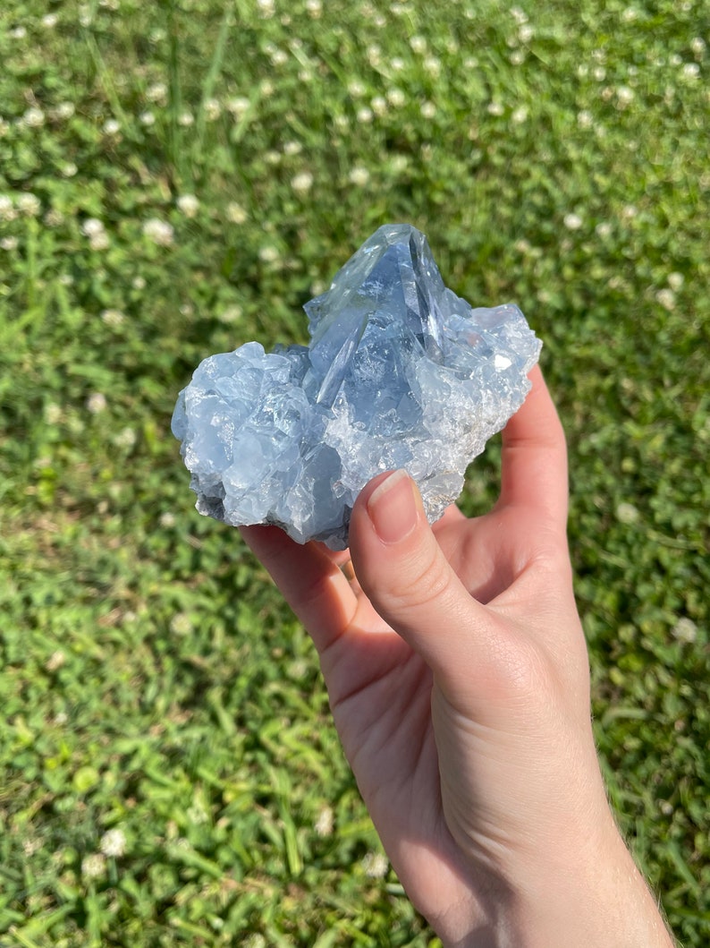May include: A cluster of light blue celestite crystals. The crystals have a rough, textured surface and varying shades of blue. The celestite is held in a hand against a backdrop of green grass and white flowers.