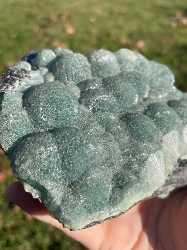 May include: A raw mineral specimen featuring a cluster of rounded, botryoidal formations in shades of translucent teal and seafoam green. The surface displays a crystalline, textured appearance with visible radiating patterns along the edges.
