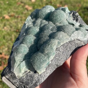 May include: A mineral specimen featuring clusters of rounded, translucent, sea-green botryoidal formations growing on a dark, textured, grey rocky matrix. The surface of the green crystals displays a fine, sparkling, crystalline texture.