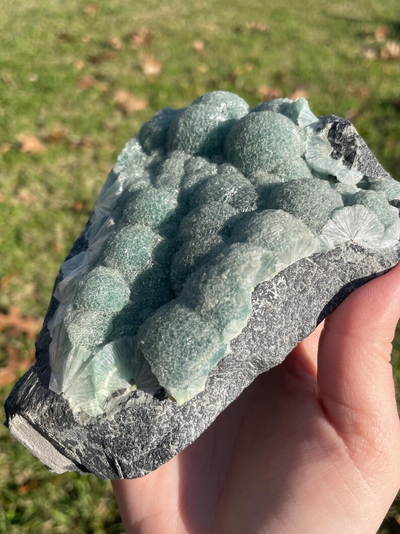 May include: A mineral specimen featuring clusters of rounded, translucent, sea-green botryoidal formations growing on a dark, textured, grey rocky matrix. The surface of the green crystals displays a fine, sparkling, crystalline texture.