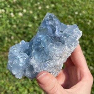 May include: A cluster of light blue celestite crystals. The crystals have a translucent appearance and are attached to a rough, gray matrix. The image is taken outdoors with a green, grassy background.