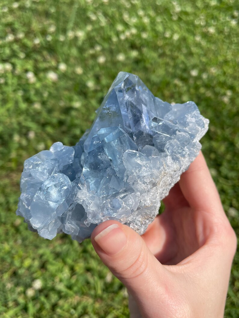 May include: A cluster of light blue celestite crystals. The crystals have a translucent appearance and are attached to a rough, gray matrix. The image is taken outdoors with a green, grassy background.