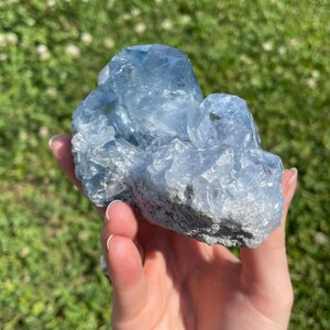 May include: A cluster of light blue celestite crystals. The crystals have a translucent appearance and are held in a hand against a blurred green background. The celestite has a rough, textured surface and varying shades of blue.