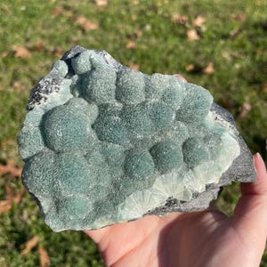 May include: A raw mineral specimen featuring clusters of rounded, sage-green botryoidal formations on a dark grey matrix. The surface displays a textured, crystalline appearance with lighter, fan-shaped radiating patterns along the lower edge.