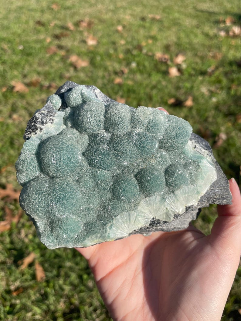 May include: A raw mineral specimen featuring clusters of rounded, sage-green botryoidal formations on a dark grey matrix. The surface displays a textured, crystalline appearance with lighter, fan-shaped radiating patterns along the lower edge.