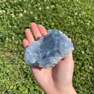 May include: A light blue celestite crystal cluster. The crystal has a rough, textured surface and a crystalline structure. The celestite is held in a hand against a backdrop of green grass and white flowers.