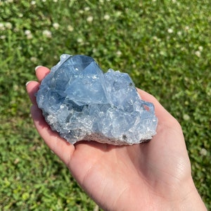 May include: A light blue celestite crystal cluster with a crystalline structure. The crystal is held in a hand against a backdrop of green grass and white flowers.