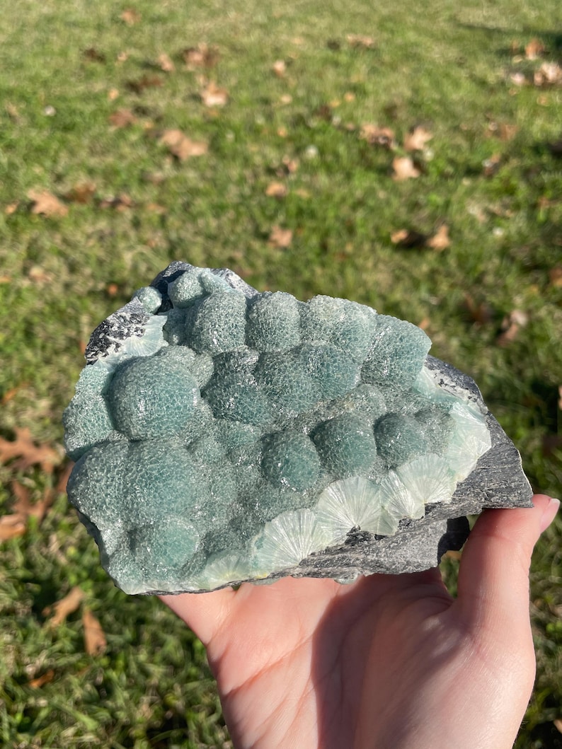 May include: A mineral specimen featuring clusters of rounded, sage green botryoidal formations on a dark grey, layered rock base. The surface displays a textured, crystalline appearance with lighter, fan-shaped radiating patterns along the edge.
