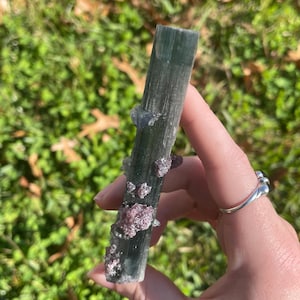 May include: A long, slender, dark green tourmaline crystal column featuring a vertical striated texture and several small, rough, reddish-purple lepidolite mineral clusters attached to one side of the main crystal structure.