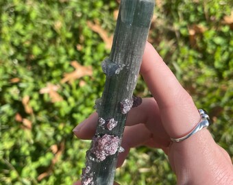Green-Blue Pederneira Tourmaline Crystal with Lepidolite