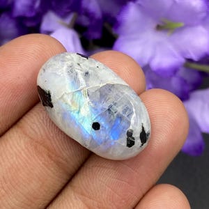 Könnte beinhalten: Ein polierter, ovaler Mondstein-Edelstein. Der Stein ist überwiegend weiß mit schwarzen Einschlüssen und schillernden blauen und gelben Reflexen. Der Edelstein wird in einer Hand gehalten, mit lila Blumen im Hintergrund.