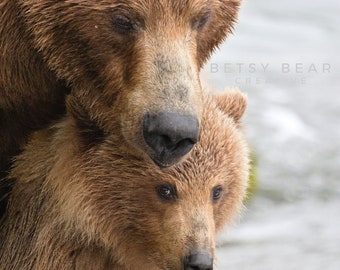 May include: A brown bear mother nuzzles her cub. The mother bear has a soft, brown coat and a gentle expression. The cub is smaller and has a lighter brown coat. The background is blurred and out of focus.