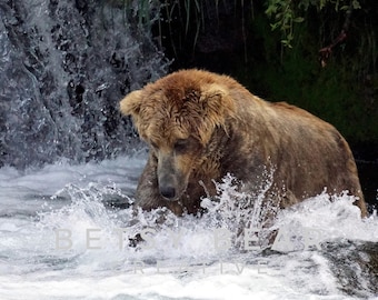 Photo Print: Otis Pounce (2021)