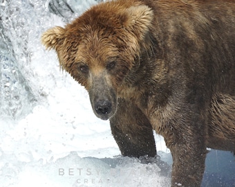 May include: A brown bear with wet fur stands in a rushing river. The bear's head is lowered, and its eyes are visible. The water is white and foamy.