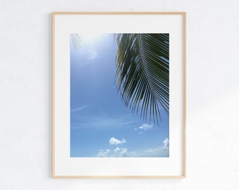 Tropical Palm Leaf Print | Fiji Wall Art (Digital Download)